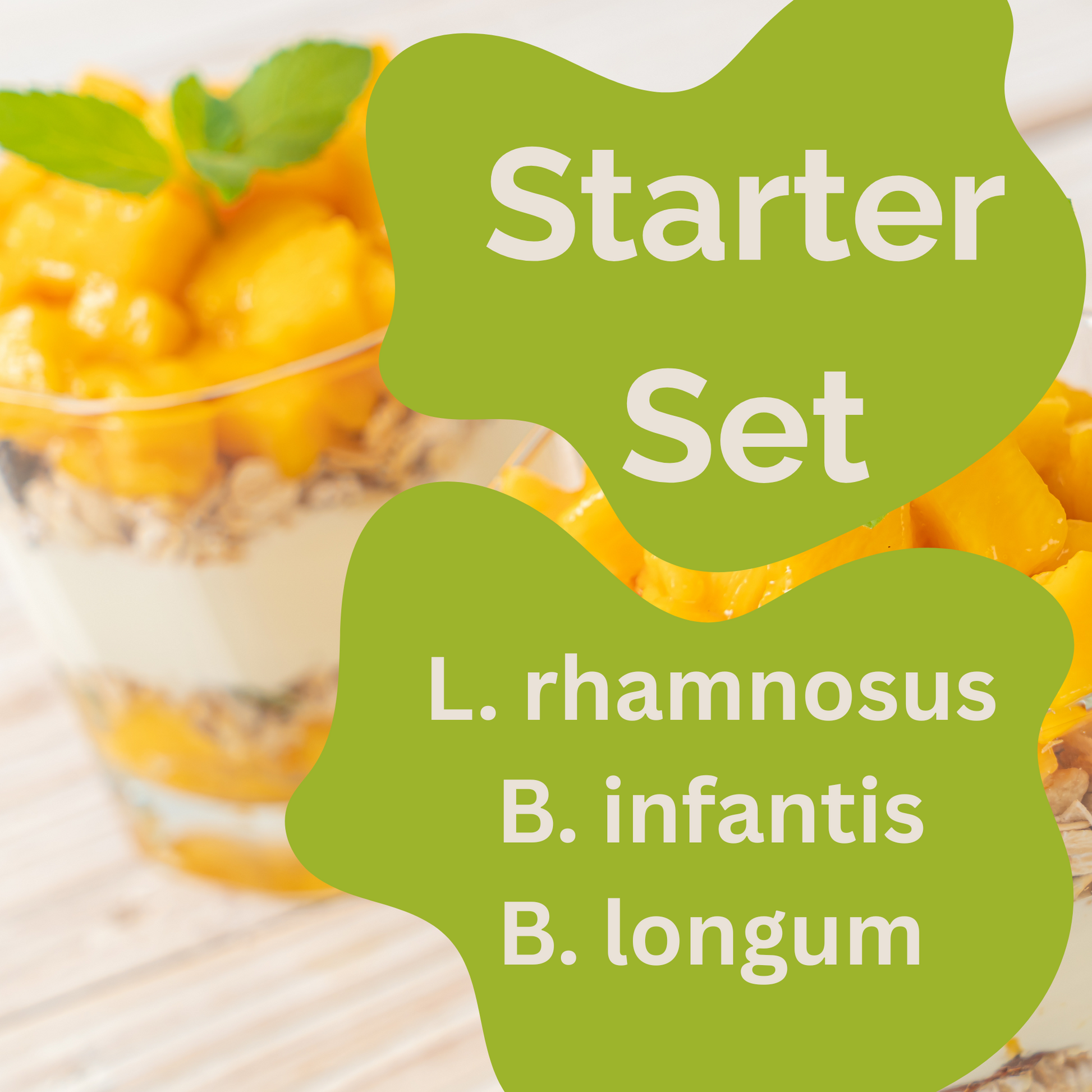 Starter Set "Allergo Gut" | L. rhamnosus, B. infantis, B. longum Yogurt